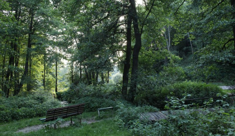 Údolí Rudolfovského potoka zůstane zachováno