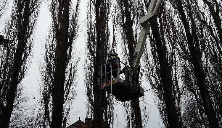 Jihočeští hasiči zasahují u stromů, které hrozí nebezpečím
