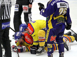 ČEZ Motor České Budějovice - Salith Šumperk 9:2