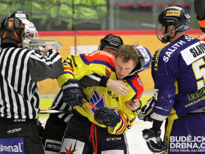 ČEZ Motor České Budějovice - Salith Šumperk 9:2