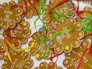 Zápis do první třídy na ZŠ Vl. Rady v Mladém