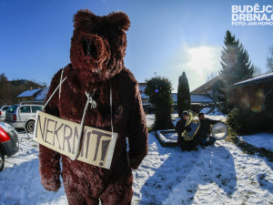 Masopust v Údolí u Nových Hradů