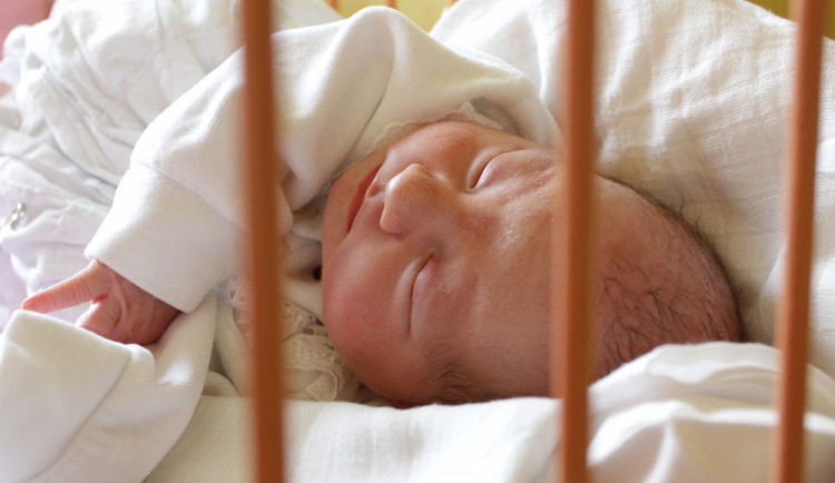 Lékaři v jihočeských porodnicích vloni přivedli na svět téměř šest a půl tisíce dětí
