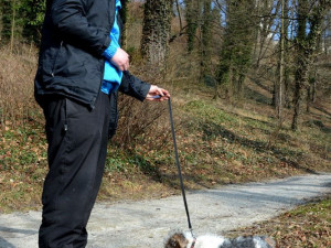Učitel, chovatel, výcvikář, majitel a provozovatel Psí školy U mě Ivo Laštovka