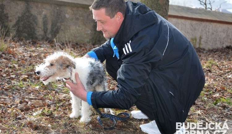 Učitel, chovatel, výcvikář, majitel a provozovatel Psí školy U mě Ivo Laštovka