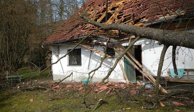 Spadlý strom zničil střechu domu, ale nikoho nezranil