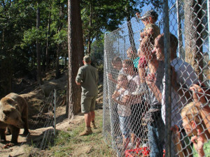 Táborskou zoologickou zahradu, která se topí v dluzích, koupí Evžen Korec