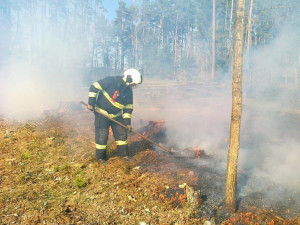 Zvýšil se počet požárů trav a lesních porostů