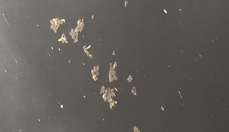 Nečistoty na hladině Malše