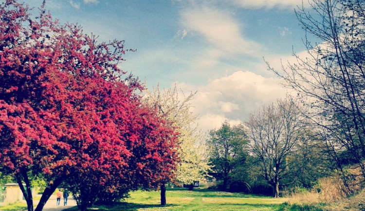 U Malého jezu. Foto: Anna Kořenská