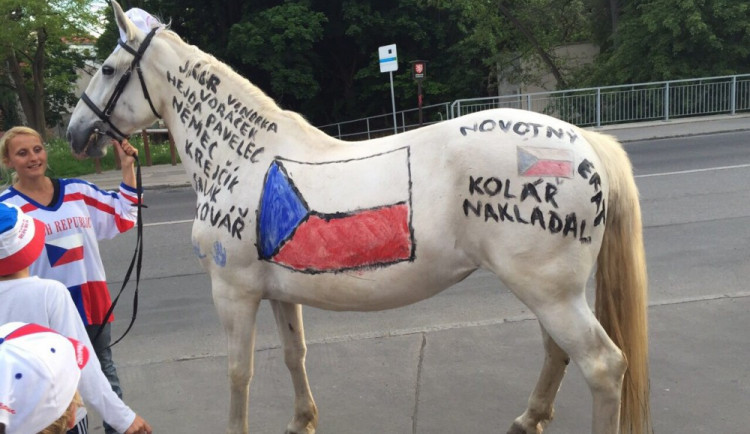 Kůň před hotelem hráčů