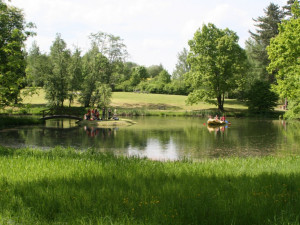 Temelínské čarování