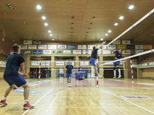 Čeští volejbalisté se představí v Budějcích při přátelském utkání s Íránem