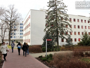 Květnová miminka - převahu měli tentokrát chlapci