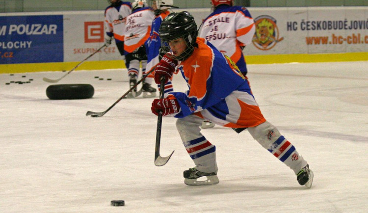 Pouzar Hockey Academy