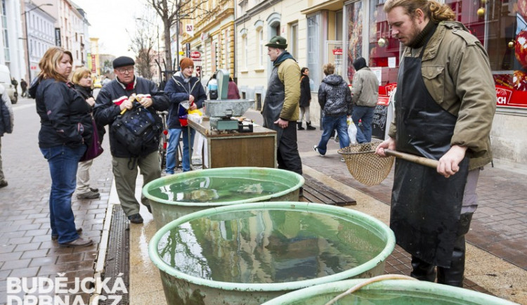 Podle výzkumu může rybí maso zmírnit negativní účinky kadmia