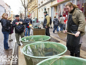 Podle výzkumu může rybí maso zmírnit negativní účinky kadmia