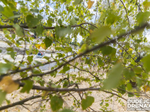 Víkendové raftové závody