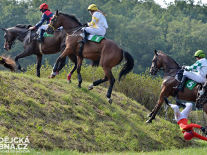 Dostihy v Netolicích