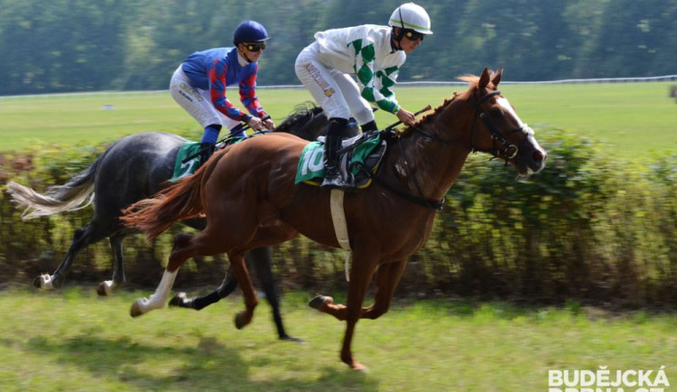 Dostihy v Netolicích