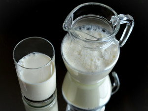 Ministr zemědělství: Ve školách by kromě mléka měly být i mléčné výrobky