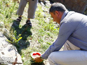 Vypouštění samic medvěda plavého