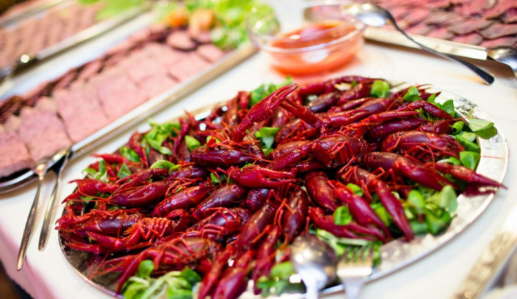 Podpořme Arpidu s chutí