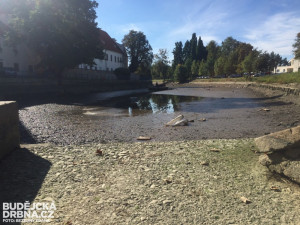 Vypuštěné koryto