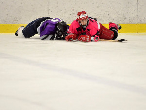 Dračice ČB - The Women of Winter