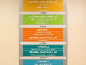 Porodnice a neonatologie