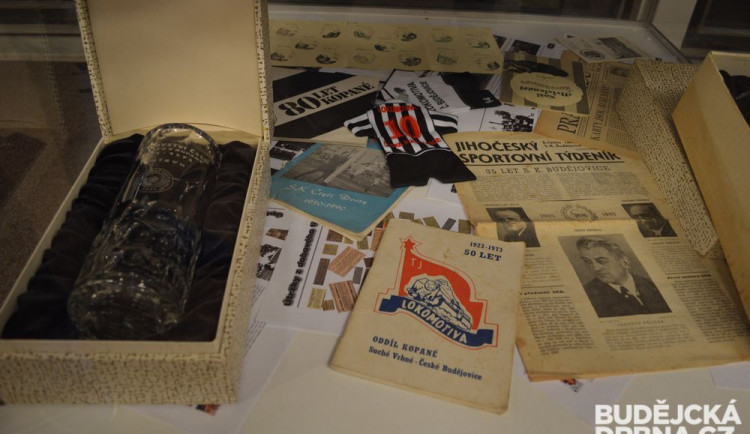 Výstava se koná až do 20. listopadu v DK Metropol.