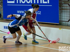 FBC Štíři Č. Budějovice - FBŠ Teiwaz Hranice