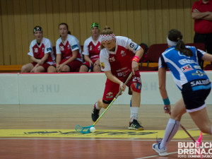 FBC Štíři Č. Budějovice - FBŠ Teiwaz Hranice