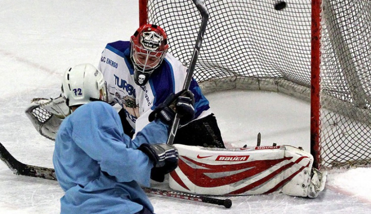 Rybníkářská hokejová liga