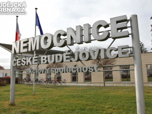 Stromečky a vánoční dekorace rozzáří také budějckou nemocnici