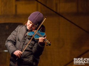 Rozsvícení vánočního stromu