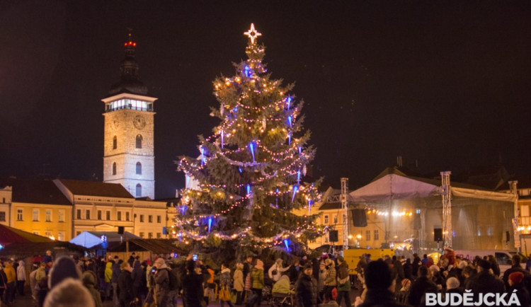 Rozsvícení vánočního stromu