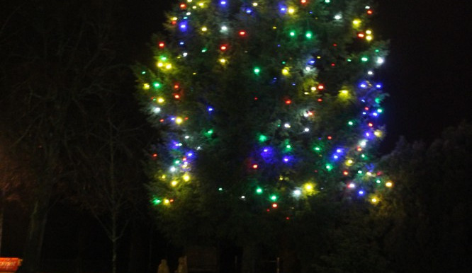 Rozsvícení stromu v Černé v Pošumaví 2