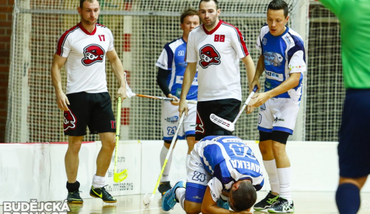 Ilustrační foto FBC Štíři České Budějovice