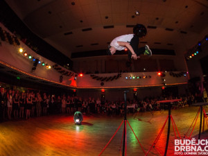 B flies