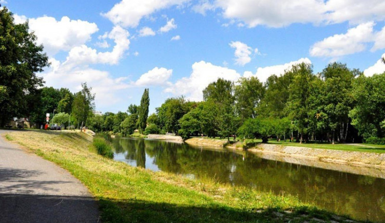 Při povodních nás úpravy břehu stejně neochrání, říká Mráz z iniciativy Zachraňme Malák