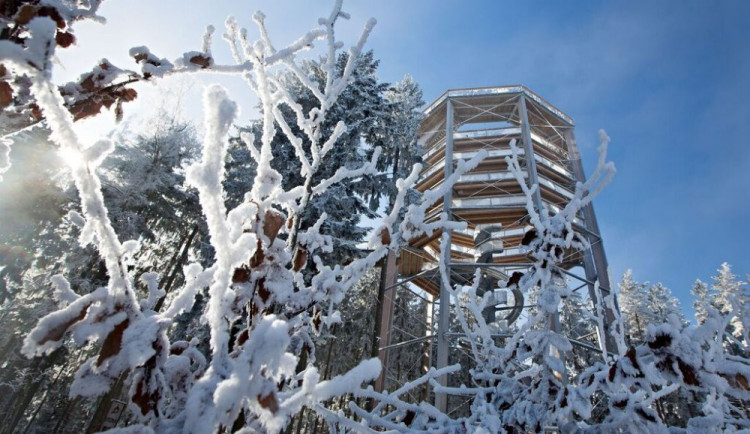 Stezka korunami stromů