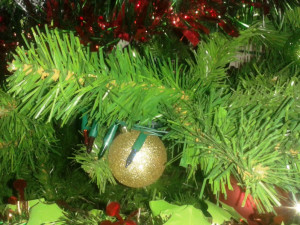 Vánoční stromek můžete mít doma ještě několik týdnů. Svoz potrvá do 19. února