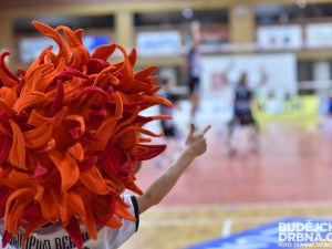 VK České Budějovice - Kladno volejbal cz