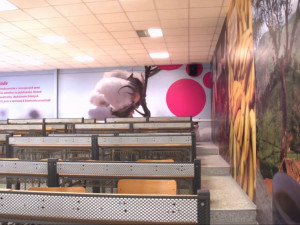 Škola Kompetenční akademie® Executive Manager