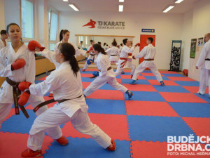 Trénink karatistů TJ Karate České Budějovice