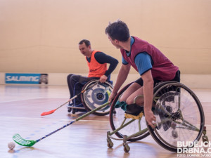 Soustředění české reprezentace