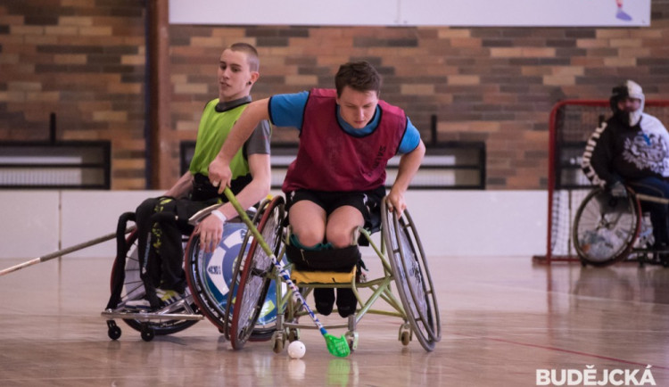 Soustředění české reprezentace