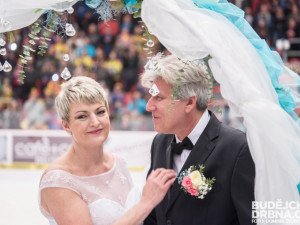 Svatba na ledě