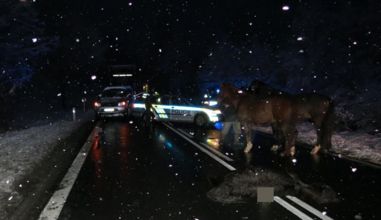 Střet s koněm na Starkonicku
